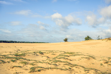 Fototapeta na wymiar Dutch national park with shifting-sand