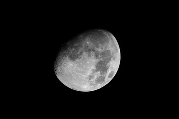 Fototapeta premium Luna