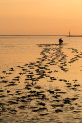 Sonnenuntergang in Norddeich bei Ebbe