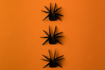 Fototapeta premium origami spiders for halloween
