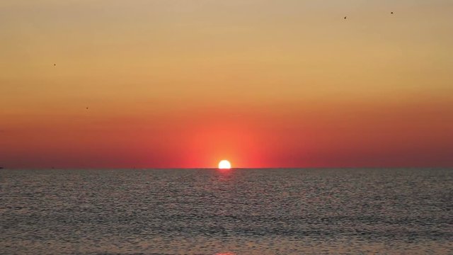 Seagulls and Sunrise