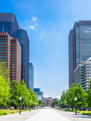Fototapeta premium 東京駅と丸の内のビル