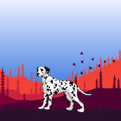 Illustration. Dog pedigree (Dalmatian) on the hunt, cartoon.