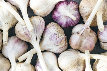 Close-up Garlic bulbs and garlic cloves is a top view