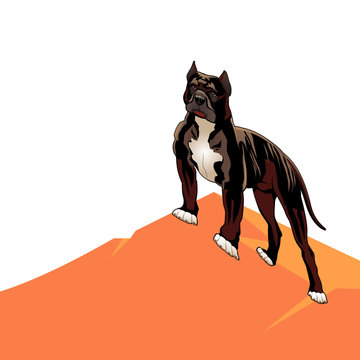 Dog pedigree (Pitbull) on a hill, cartoon on a white background.