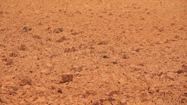 Detalle de suelo arado de tierra arcillosa