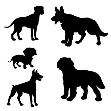 Black silhouette of dogs (Dachshund, Dalmatian, Doberman Pinscher, German Shepherd, Saint Bernard) on a white background.