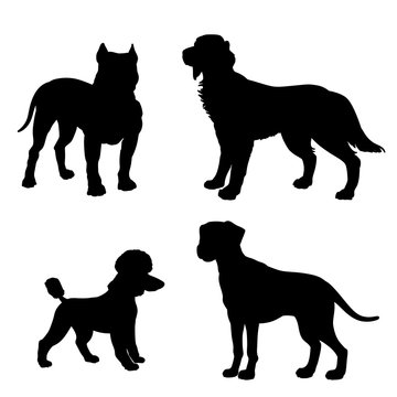 Black silhouette of dogs (Dalmatian, Poodle, Irish Setter, Pitbull) on white background.