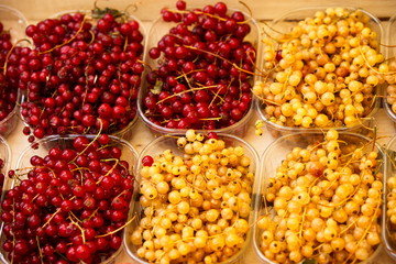ribes rosso e giallo