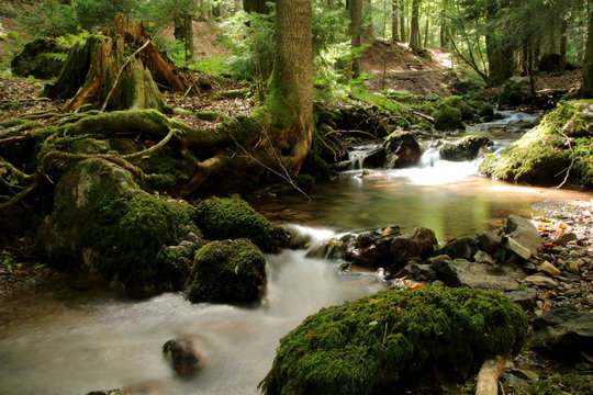 Lauchagrund bei Tabarz