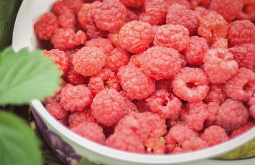 raspberry