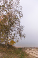 Murner lake early in the morning