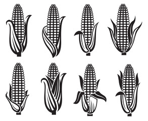 collection of black corn images