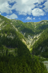Fototapeta na wymiar background landscape view of the snowy peaks of the Alps and the Coniferous forest In the Tyrol