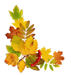 Autumn leaves and berries in a corner arrangement