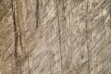 Old wooden texture.