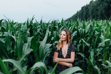 Beautiful girl stands in the field of young corn. Agriculture.