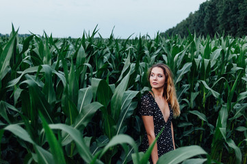 Beautiful girl stands in the field of young corn. Agriculture.