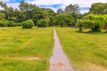 Path Going through Beautiful Green Grass in a Park