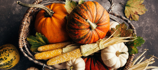 Pumpkins and corn in the basket © valya82