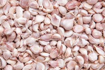 Garlics background.