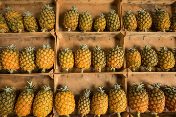 Ananas