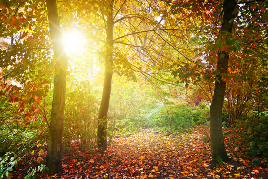herbstlich