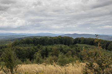woods surrounding vienna on a cloudy day