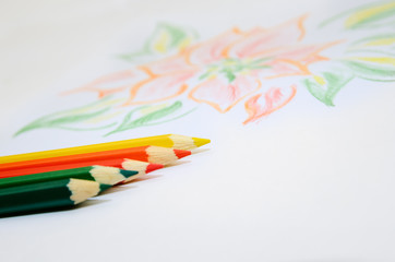 Color pencils and a sheet of paper with a picture.