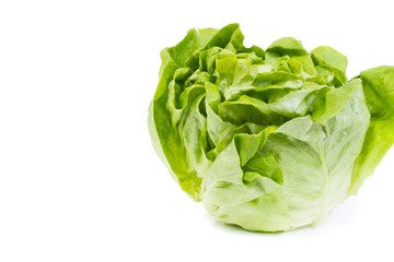 fresh salad - isolated