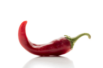 Chili pepper red hot bitter on a white background.