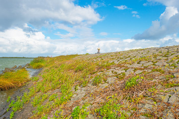 Dike along the shore of a stormy lake in sunlight in summer
