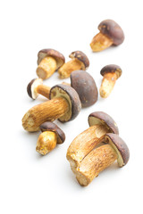Fresh boletus mushrooms.