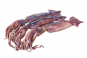 Group of raw squids with tentacles isolated on white background.