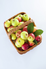 basket full of apples