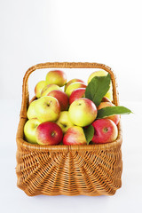 basket full of apples