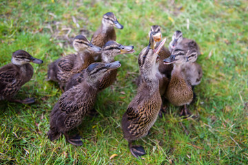 And the Winner is....