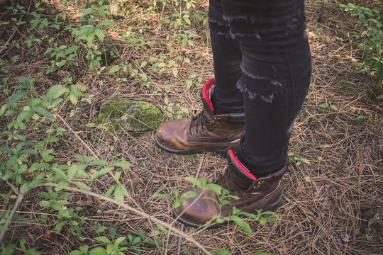 close up picture in brown leather boots in forest 