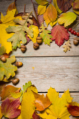 Obraz premium Autumn leaves on wooden boards