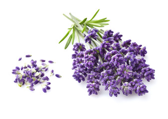 Naklejka premium Lavender on a white background