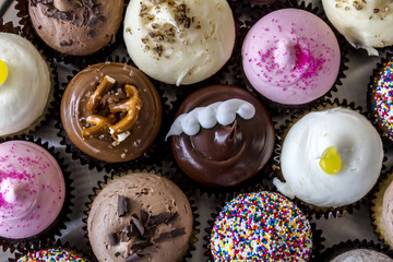 Assorted Flavors of Cupcake on Display