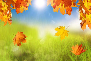Naklejka na ściany i meble Autumn falling leaves with blurred green and blue nature background