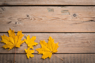 Naklejka na ściany i meble Autumn leaves on wooden boards