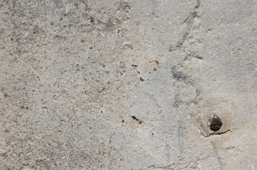 The wall, plastered with cement with a nail driven into it.