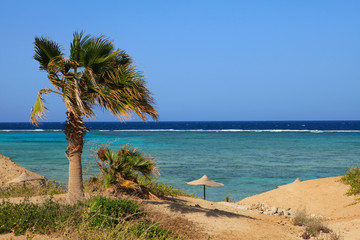 Marine landscape of Marsa Alam (Red Sea), Egypt
