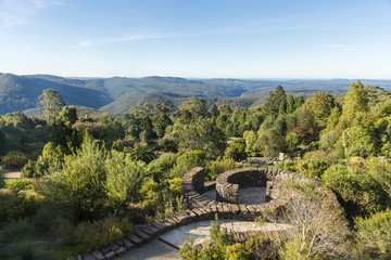 Fototapeta na wymiar Botanic garden in Blue mountains national park