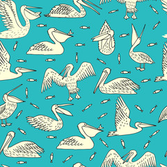 Fototapeta premium Pelicans, illustration, vector