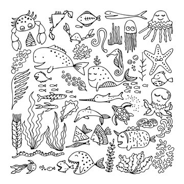 Set of cartoon fish and sea animals