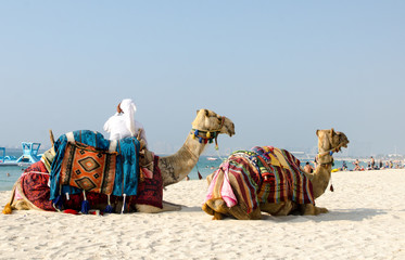 Tour guide offering tourist camel ride on Jumeirah beach in Dubai