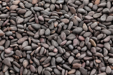black sesame